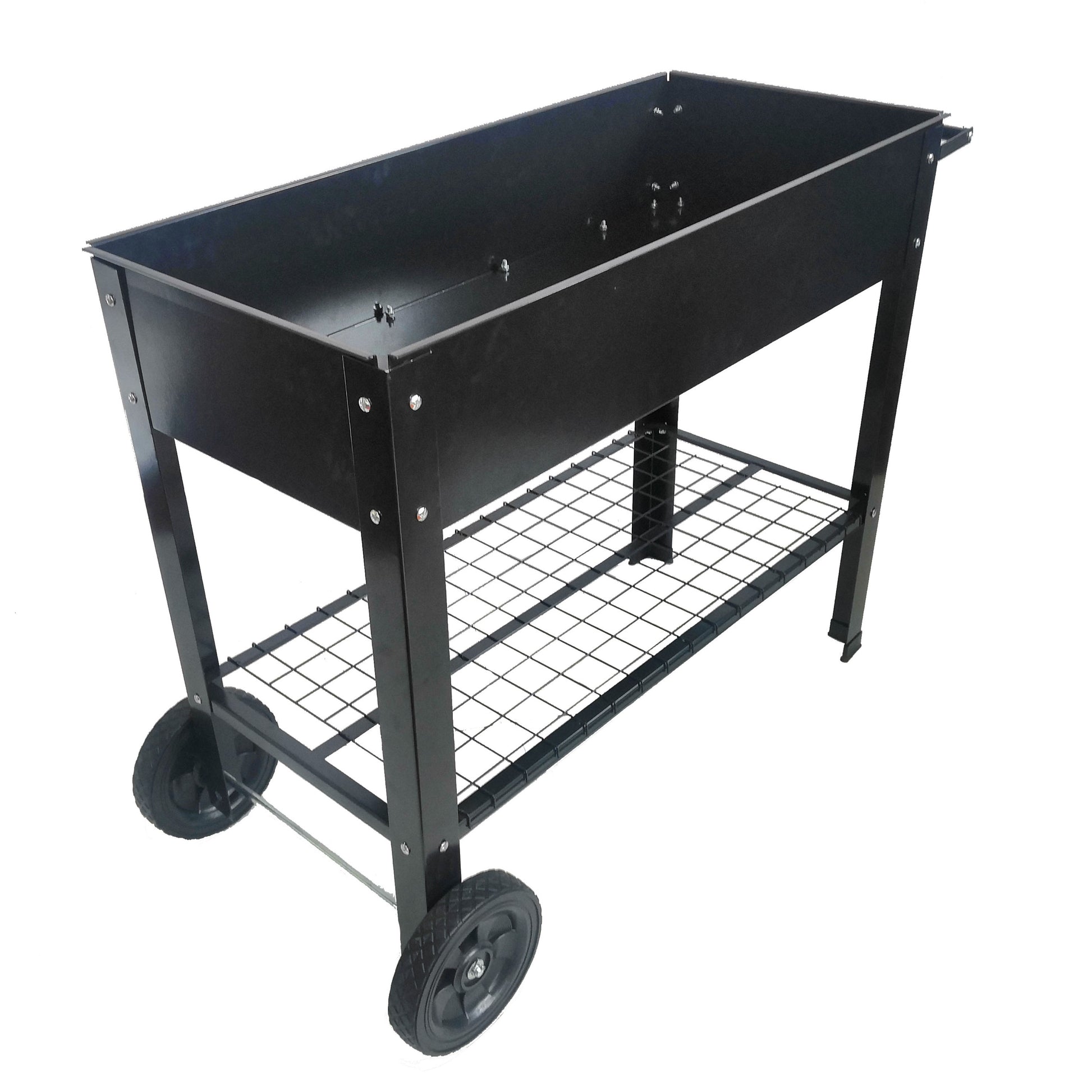 24614219