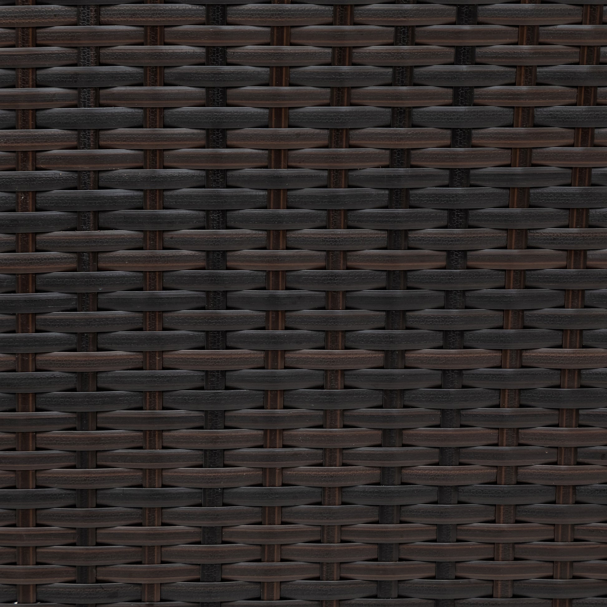 24456707